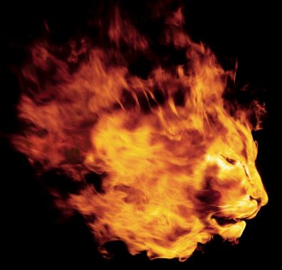 Lion Fire